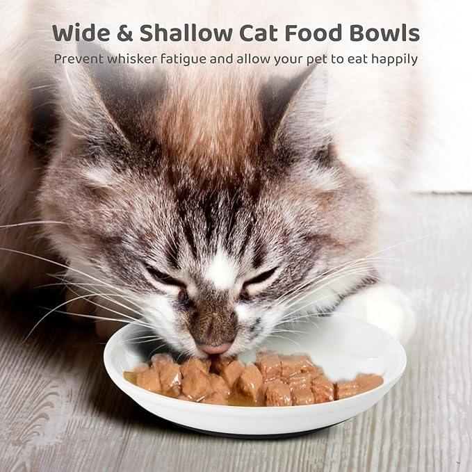 Dorakitten Ceramic Cat Bowls - 10 Pack, No Whisker Fatigue Wide Shallow Cat Dishes with Non-Slip Silicone Bottom, Pet Food & Water Plates, 15cm Diameter