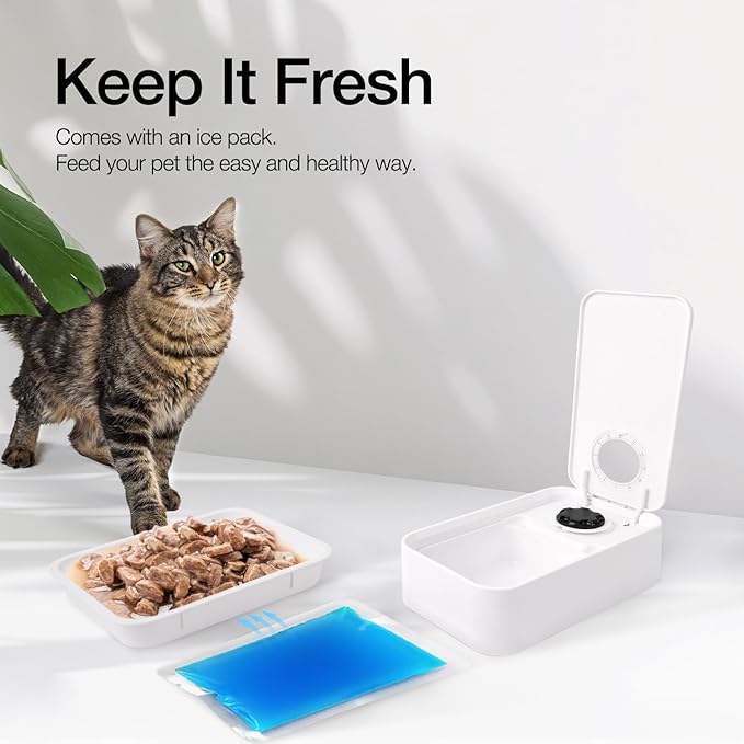 ALL FOR PAWS Automatic Cat Feeder Wet Food Dispenser - 1 Cup Compartment, 300ml Capacity Each, Includes Ice Pack, Dishwasher Safe Removable Trays (1 Meal)