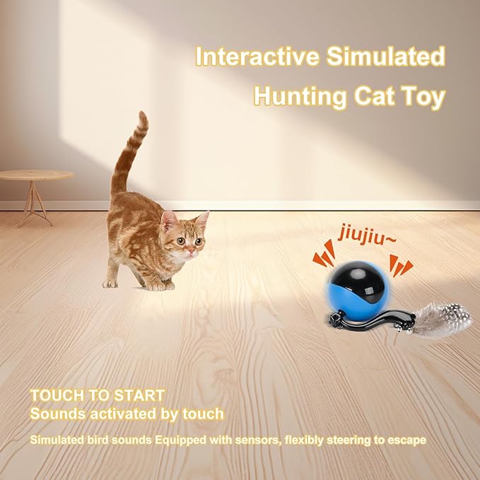 Interactive Cat Toys Ball Self Rolling in Pouch,Hunting Remote Control Simulated Chirping Bird Moving Cat Toy with Mat,Hide and Seek for Indoor Cats Mouse Chasing Games