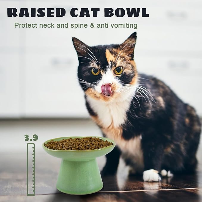 Wide Shallow 6.1" Raised Cat Bowls, Ceramic Elevated Food Bowl for Flat Faced Cats and Small Dogs, Porcelain Feeder Bowl, Stress Free, Protect Cat’s Spine, Green