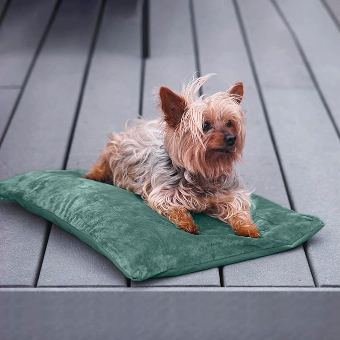 Outdoor Heated Dog Bed, Soft Pet Heating Pad with Steel-Wrapped Cord, Outside Pet Warmer for Feral Cats and Dogs, 35.4" x 23.6", 80 Watts