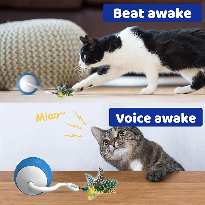 Interactive Cat Toys for Indoor Cats, DIY 5 in 1 Automatic Moving Cat Ball Toys/Puppies Toys with LED Rainbow Lights, Smart Sounds&Touch Control Cat Toys,USB Rechargeable (Blue)