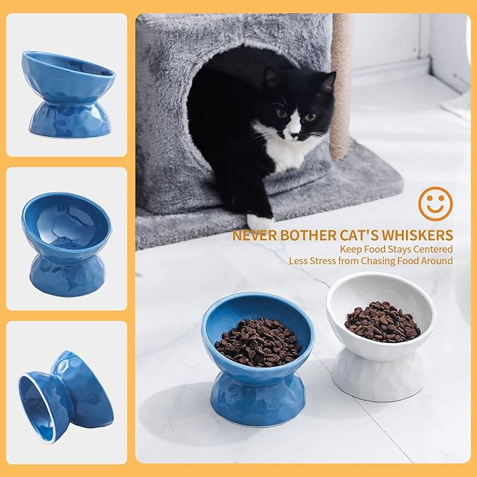AOMRYOM Raised Cat Food Bowl, Ceramic Elevated Tilted Cat Bowls, Pet Bowl Dish Set for Cats and Small Dogs, Protect Cat's Spine, White & Blue, Set of 2, Dishwasher and Microwave Safe