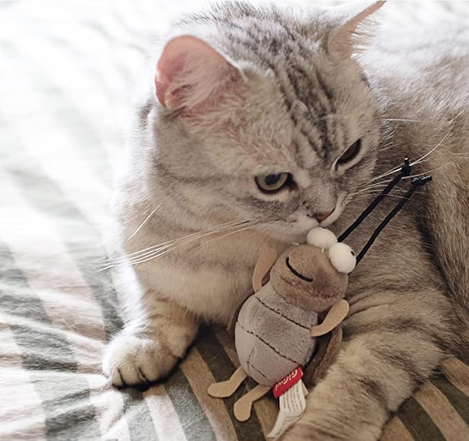 Gigwi Squeaky Cricket Cat Toy,Interactive Cat Toys Electronic Motion Activated Bug Sound，Automatic Cats Play Squeaky Toy for Indoor Fun