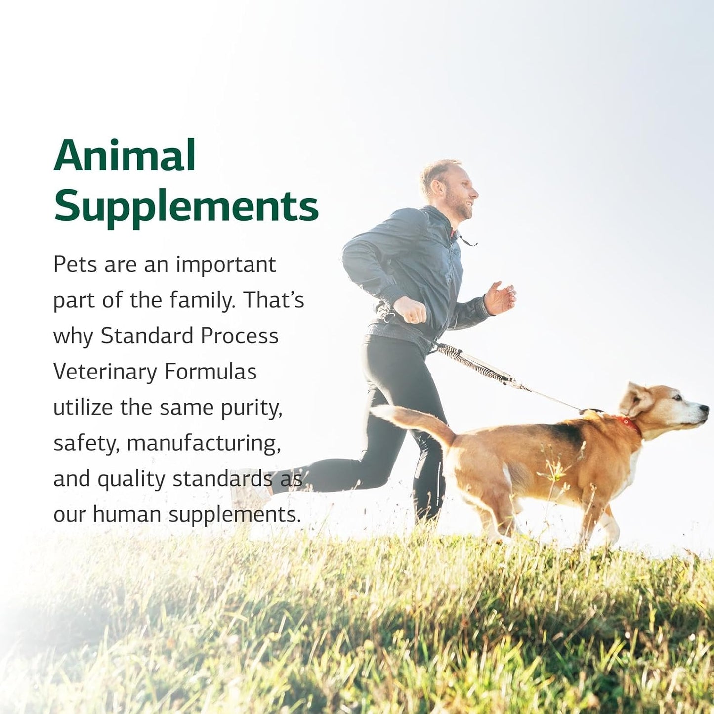Standard Process Canine Musculoskeletal Support - Bone & Joint Health Formula for Pets - Canine Musculoskeletal Support Supplement - Supplement for Dogs to Aid Joint Comfort & Muscle Health - 120 g