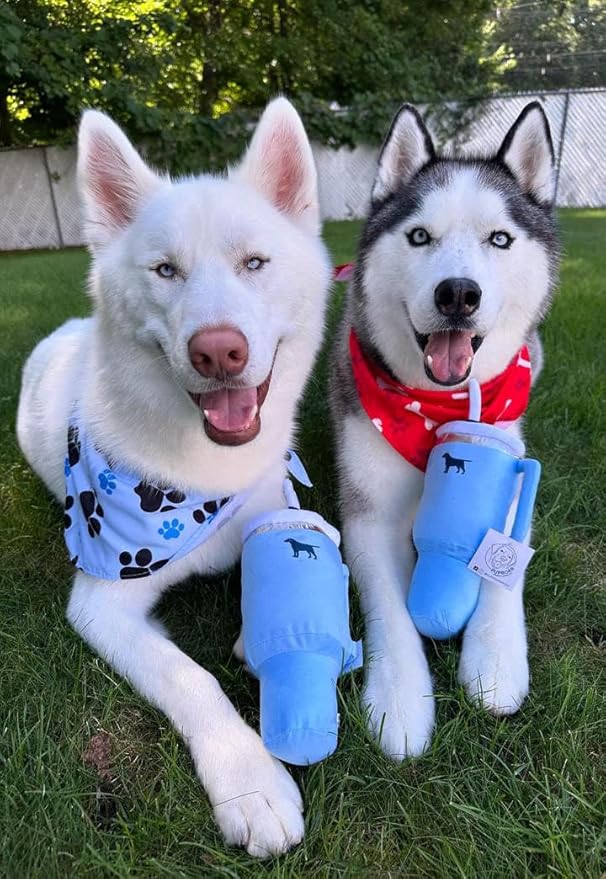 Pup Cup Tumbler Dog Toy – Birthday Dog Toy, Funny Squeaky Plush Puppy Gift, Cute Birthday Present (Chambray Blue)