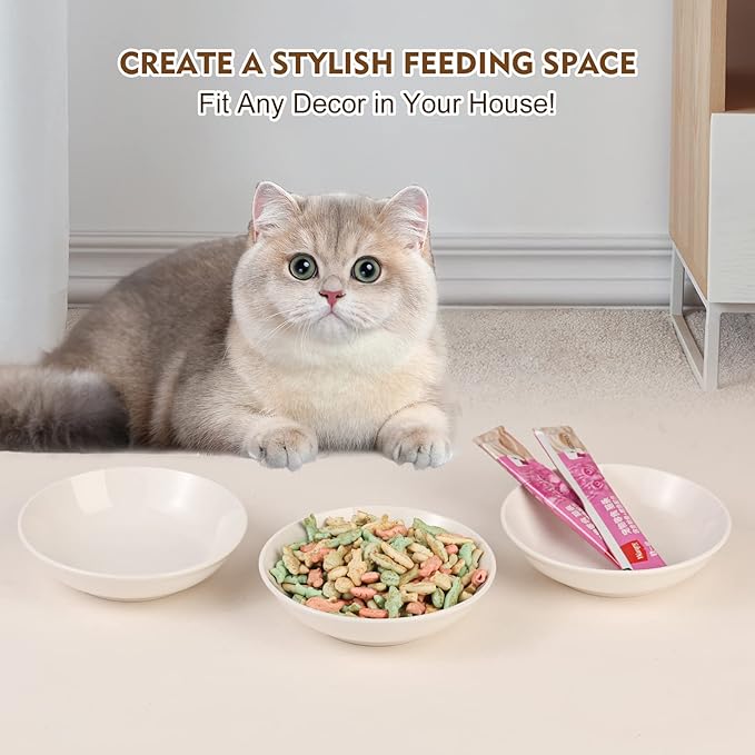 Ceramic Cat Dishes for Food - Cute Cat Bowl Set of 6 - Wide, Shallow, Whisker Friendly - Minimalist Style - Microwave and Dishwasher Safe - 8.5 oz - 5.75 inch