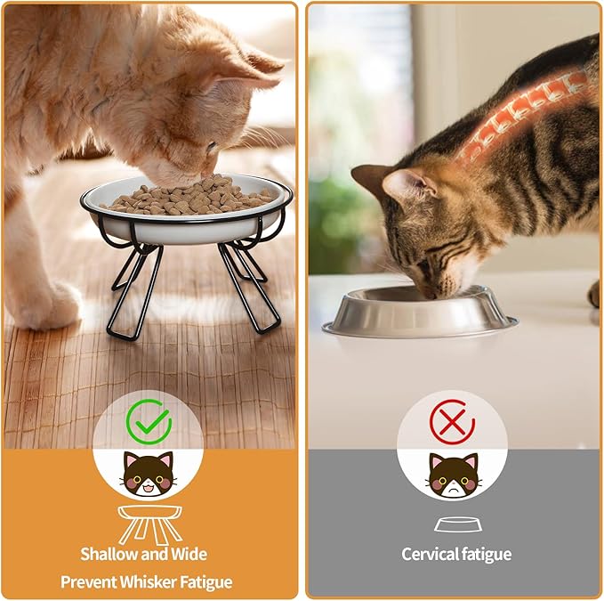 Presents The Ultimate Cat Dining Set: 5.9 inch Ceramic Water Bowl and Whisker-Friendly and Anti-Vomiting Plates.Elevated Bowl, Raised Ceramic Dish with Metal Stand
