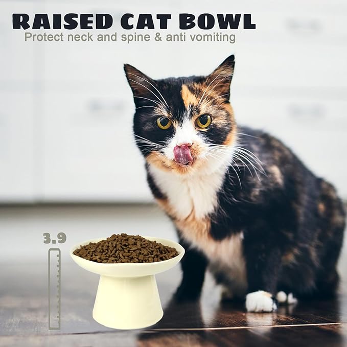 Wide Shallow 6.1" Raised Cat Bowls, Ceramic Elevated Food Plate for Flat Faced Cats and Small Dogs, Porcelain Feeder Bowl, Stress Free, Protect Cat’s Spine, Cream