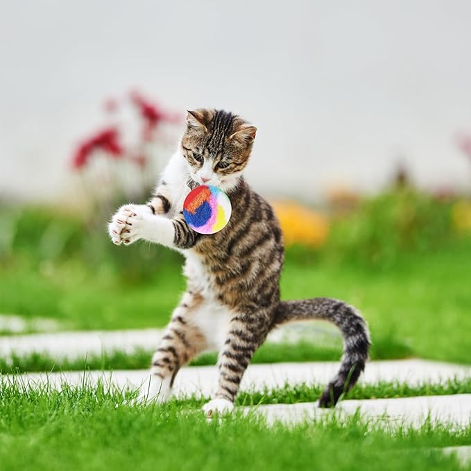 Nicunom 60 PCS Cat Pom Pom Balls, 1.7Inch Rainbow Cat Toy Balls, Soft Plush Cat Ball Fuzzy Kitty Balls Colorful Kitten Puff Balls Cat Chase Ball for Kitten Pet Interactive Playing Exercising
