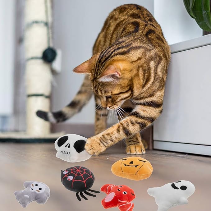 6pcs Halloween Catnip Toy，Indoor Pumpkin Ghost Shaped Cat Toy Plush Interactive Chew Bite Toys for Cat Kitten Indoor Festive Holiday Cat Lover Gift