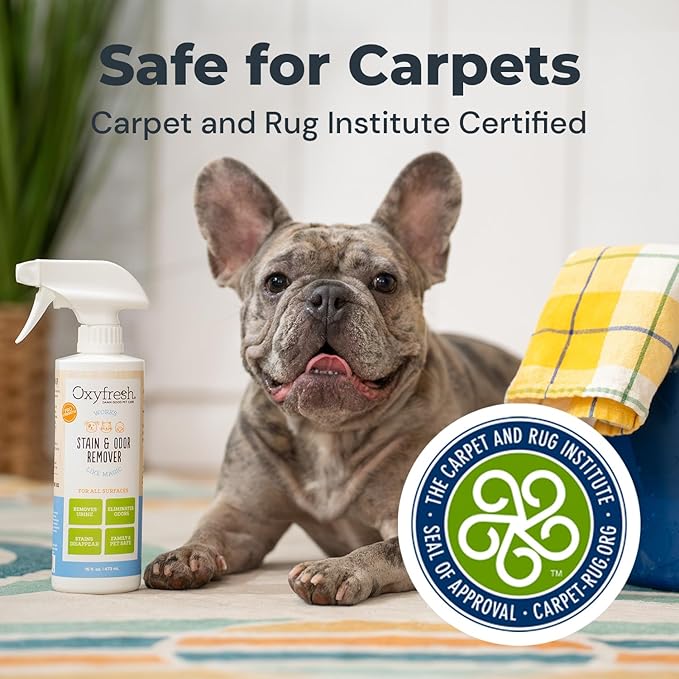 Oxyfresh Advanced Pet Stain Remover & Urine Odor Eliminator – Fast Acting Pet Odor Eliminator for All Surfaces - Best Way to Remove Stains - Dog & Cat Urine Neutralizer