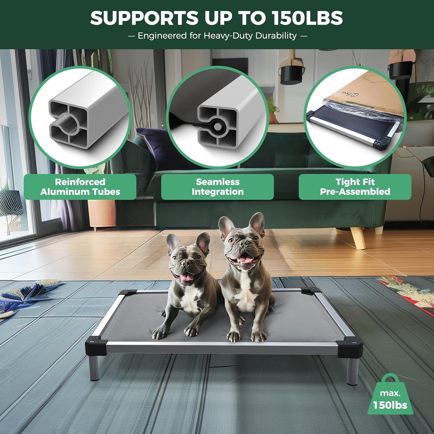 FXW TitanNest Chew-Proof Elevated Dog Bed, Raised Cot for Indoor/Outdoor/Camping Use, Durable & Washable Padded Pet Bed for Extra-Small Dogs, 30.0" L x 22.0" W x 4.5" H, Gray