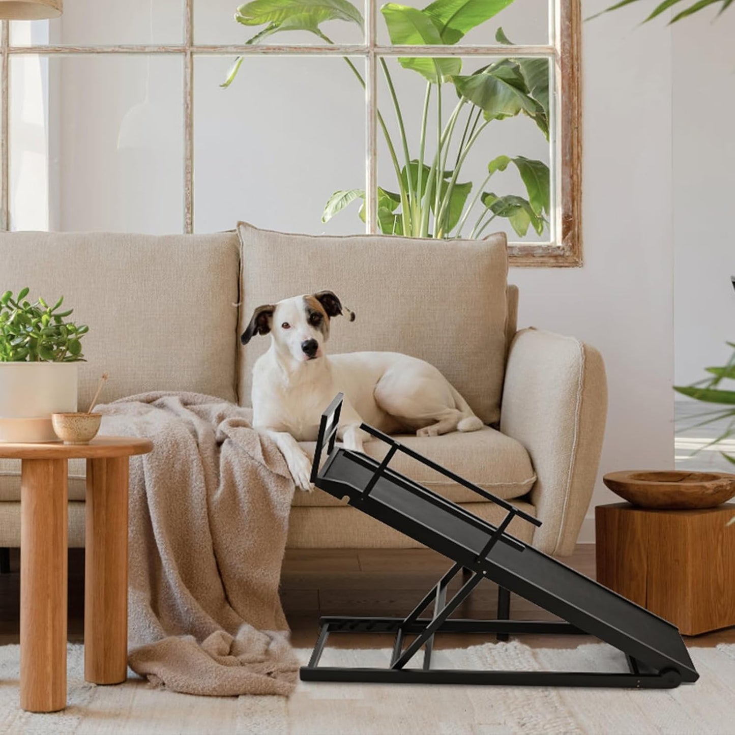 Dog Ramp, 5 Level Adjustable Wooden Folding Pet Ramp for Middle Bed, Couch,SUV-High Traction, Portable Paw Ramps for Small & Large Old Dogs & Cats - Furniture Quality