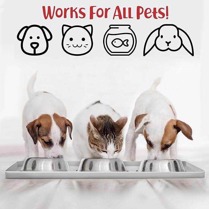 DogBuddy Dog Food Mat – Waterproof Dog Bowl Mat for Food and Water, Silicone Pet Feeding Mats for Floors, Non-Slip Placemat with High Edges for Dogs Bowls, Puppy Essentials (Small: 19"x12", Mist)