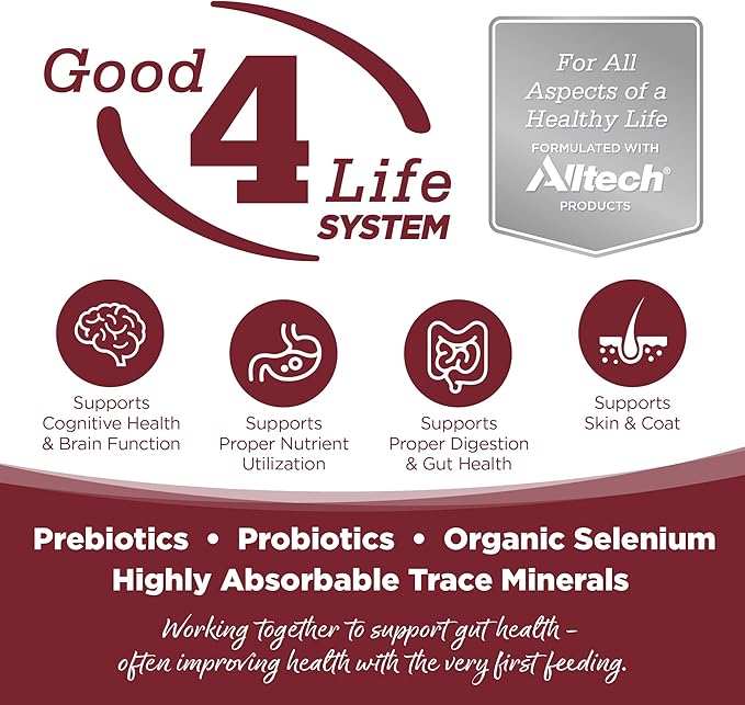 NutriSource Dry Dog Food, Beef and Rice, 12LB