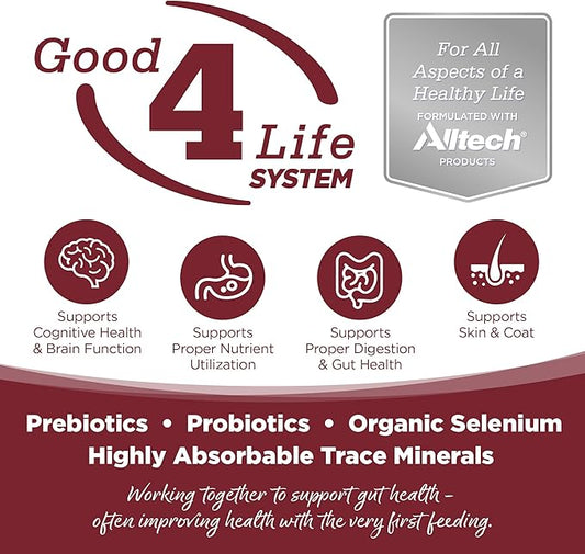 NutriSource Dry Dog Food, Beef and Rice, 4LB