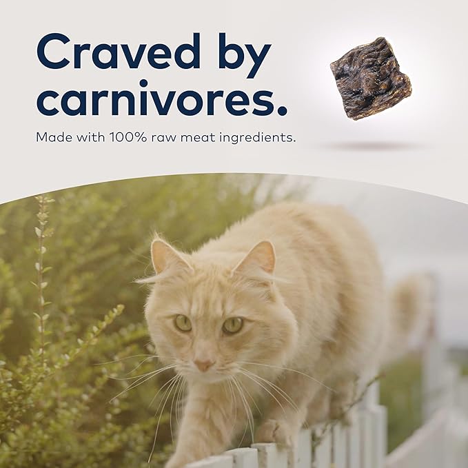 ZIWI Peak Air-Dried Cat Food – Mackerel & Lamb - All Natural, High Protein, Grain Free, Limited Ingredient w/ Superfoods (14oz)