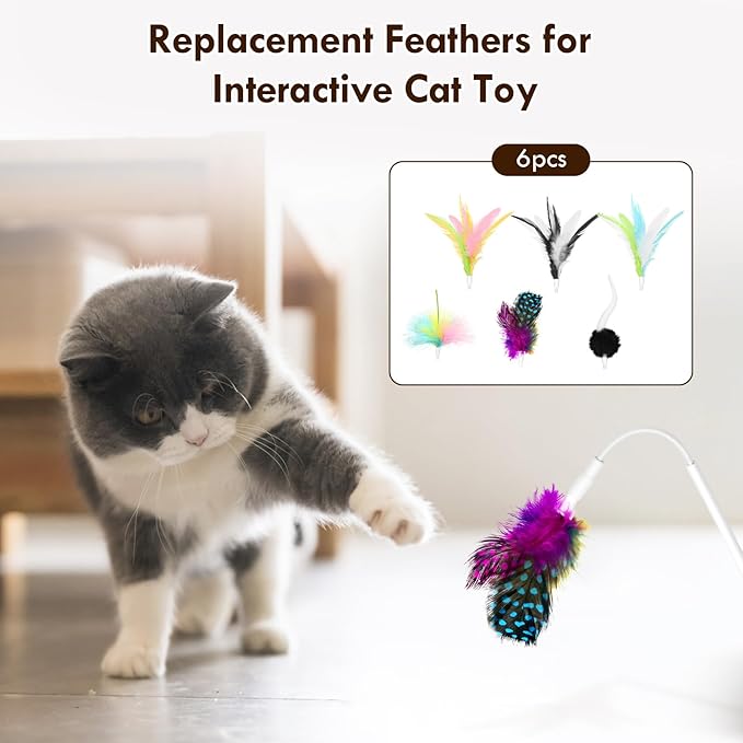 6 Pcs Feather Replacement Cat Toys for CT01 cat Toy Feather Accessories for Indoor Refills kittenToy Accessories