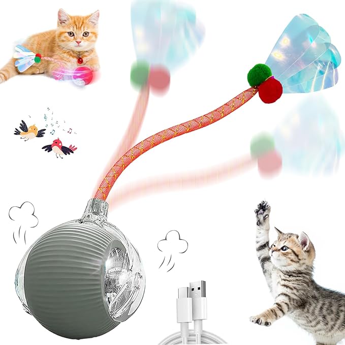 Interactive Cat Toys for Indoor Cats, Automatic Cat Toy with Elastic Mesh Tail, Electric Rolling Ball on Carpet, Chirping and Motion Activate Cat (Gray)