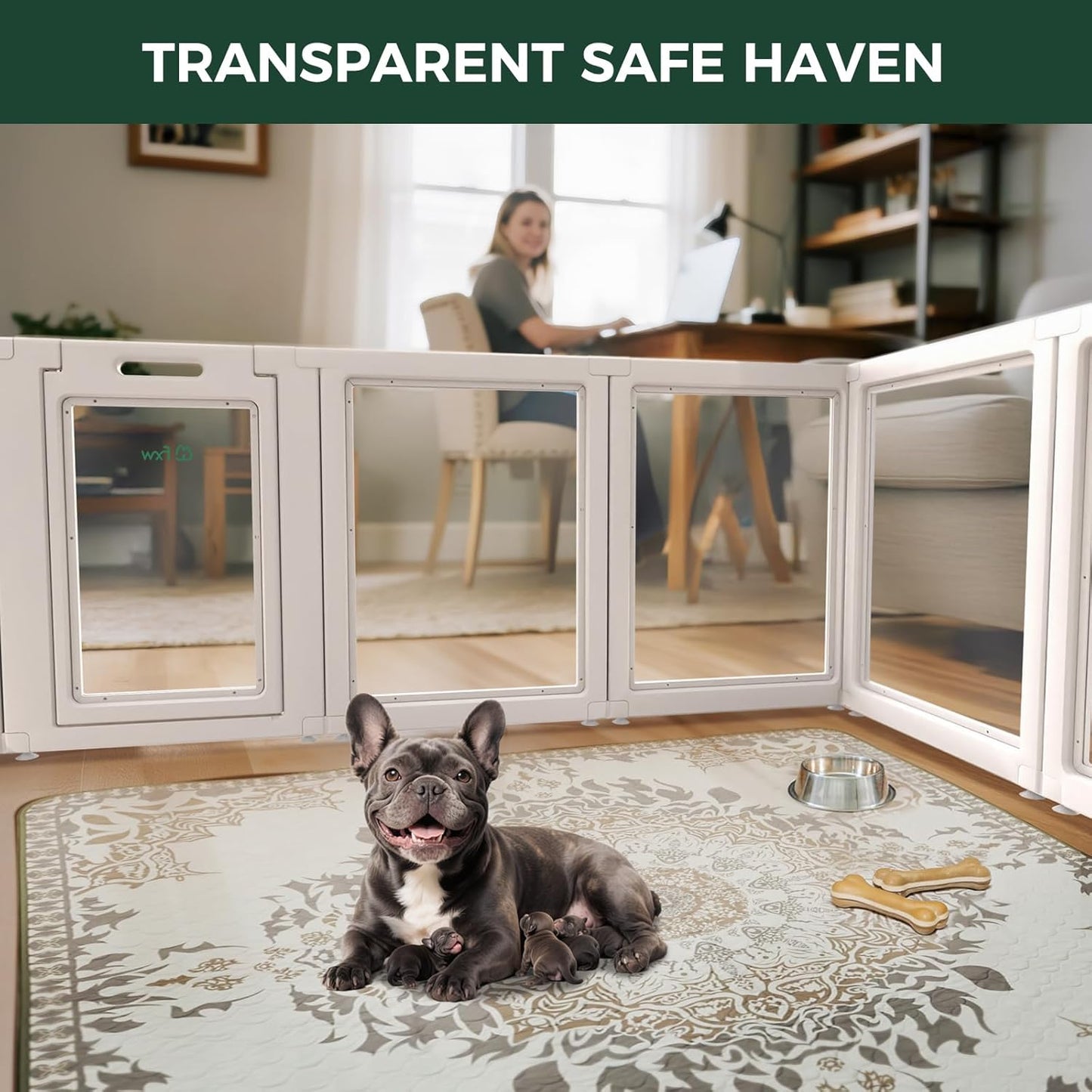 FXW AuraSpace Acrylic Indoor Unleashed Dog Playpen for Small and Medium Dogs, 30 Inch, 10 Panels, White