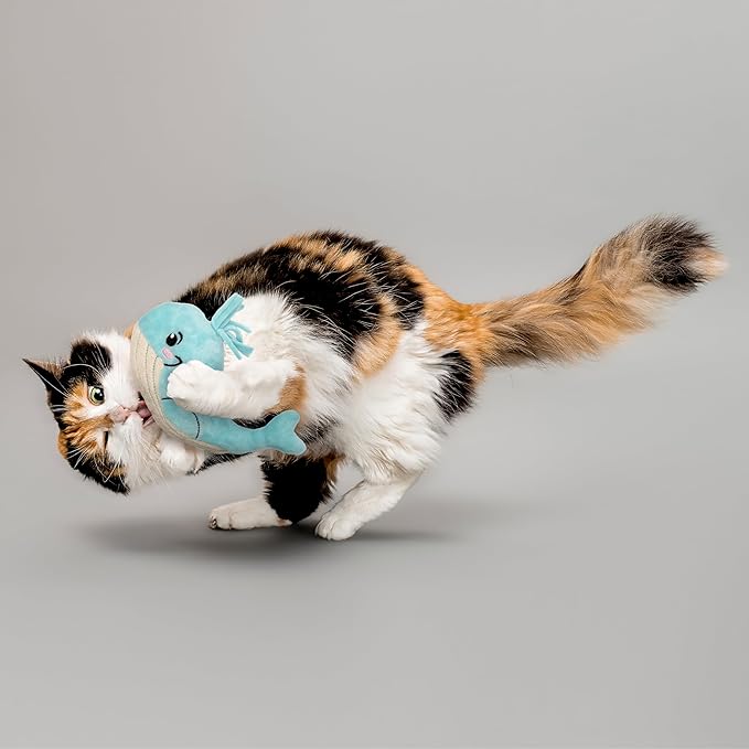 Interactive Cat Toy for Indoor Cats | Catnip Cat Toy | Whale