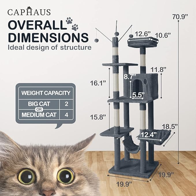 CAPHAUS Tall Cat Tree for Indoor Cats, Modern Cute 70-Inch Climbing Play Tower with Top Perch Large Cats Kittens, Multi-Level Activity w Scratching Posts, Hammock, Cave Condo, Smoky Grey