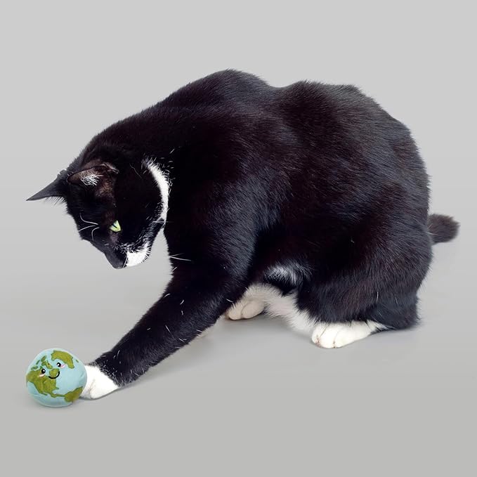 Global Collection Cat Toys | Earth Animals Mixed Bundle | Value 5-Pack for Indoor Cats | Cute Interactive Plush Toys | Eco-Friendly & 100% Recycled Materials