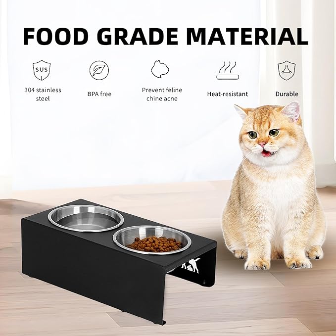 Elevated Cat Food Bowl,15°Tilted Stand Anti Vomiting Raised Cat Dishes for Food and Water,2 Stainless Steel Bowls,Non-Slip No Spill,Cats and Puppy