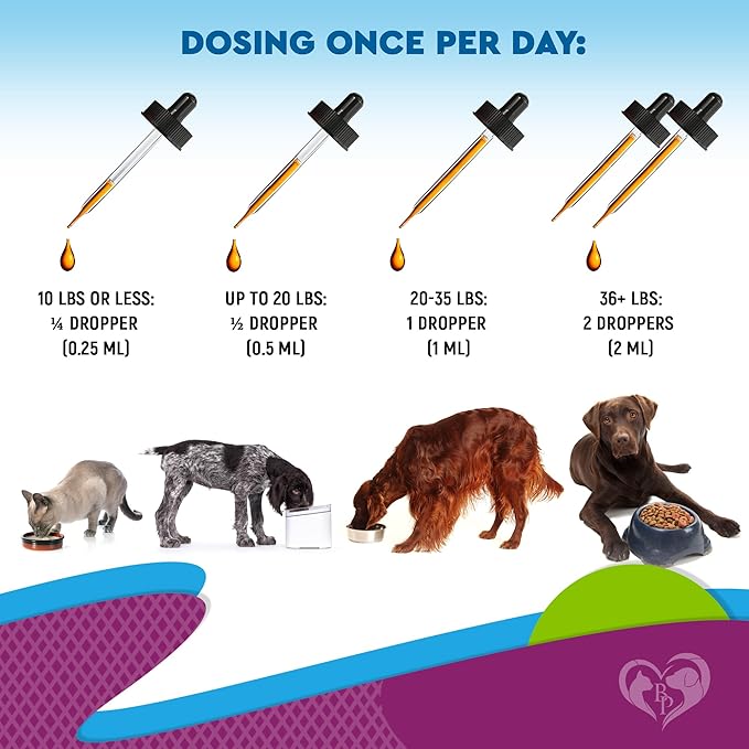 Cat & Dog Multivitamin Liquid with Glucosamine & Cranberry | 15 in 1 Health Supplements for Urinary Tract Kidney, Bladder, Hip & Joint, Skin & Coat | Natural UTI Medicine Made in USA (60 ml)