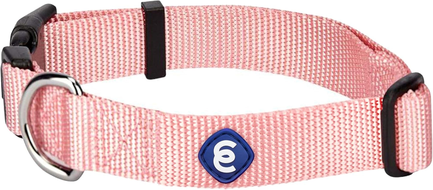 Blueberry Pet Essentials Small Dog Collar in Baby Pink | Adjustable & Eco-Friendly Durable Nylon Strap | Classic Collar for Small Dogs, Boy & Girl Pets