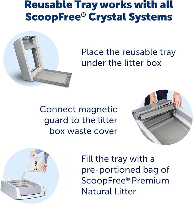 PetSafe Scoop-Free Natural Litter Reusable Tray - Durable Plastic Tray with Stainless Steel Magnets - Comes with 4.2 lb Bag of Premium Natural Litter