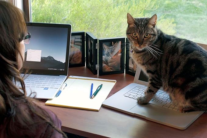 Cattop Cat Laptop Heated Bed - Cat Computer with Heated Surface, Realistic Kitty Laptop with Adjustable Screen, Lightweight Toy Gadget for Felines Who Sit On Keyboards