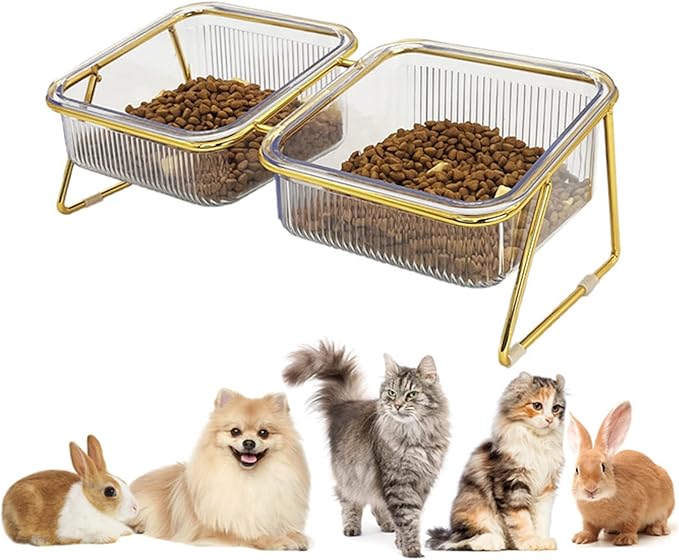 Elevated Double Cat Bowls,5.7" Pets Water and Food Bowl 15°Tilted Transparent Raised Kitten Food Feeding Dishes with Iron Stand Anti Slip Kitty Dishs Rose Gold Bowl Set for Kittiens Small Dogs