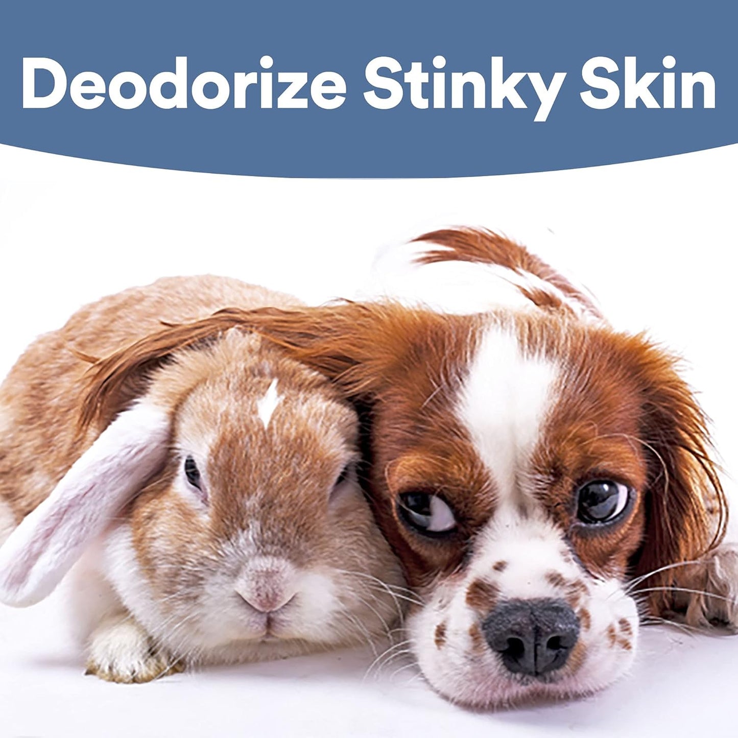 SkinSmart Antimicrobial Wound Care for Pets, Hypochlorous Acid Removes Bacteria to Promote Healing and Relieves Itch, Safe if Licked, 8 Ounce Spray Bottle