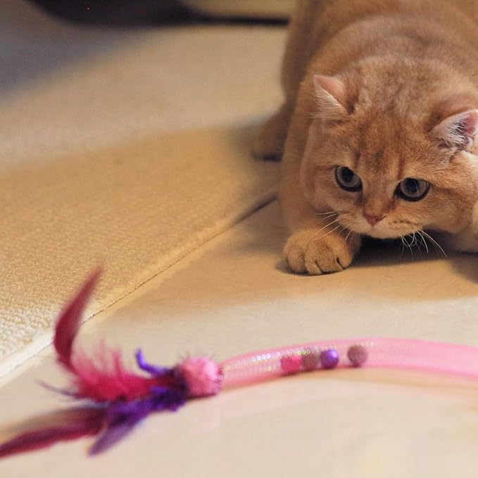 Interactive Cat Toys with Feather, Stretchable Mesh Tubes Toys with Bell and Catnip Inside, Colorful Interactive Play String for Cats and Kittens, 3 Pcs