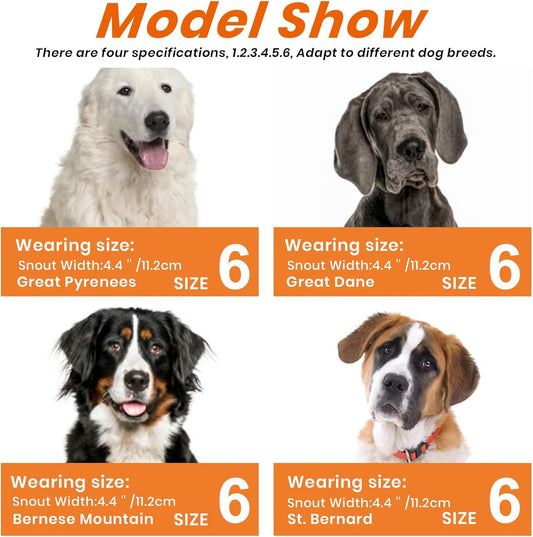 Dog Muzzle, Basket Muzzle Anti Biting Chewing, Sturdy Lightweight Muzzle Allows Panting Drinking, Cage Muzzle for Small Medium Large Dogs, Suitable for Grooming Trimming Training (Size 6)