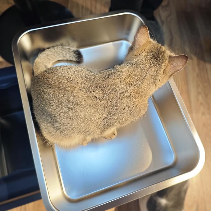 LIHONG Stainless Steel Cat Litter Box,Small Metal Litter Box for Small Cats Hamster Rabbits,No Smell,Non Stick,Easy to Clean(18" Lx14 Wx4 H,M)