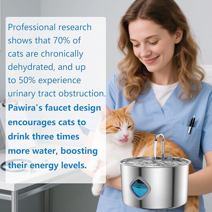 Pawira Water Fountain for Cats, with 10 Filters - Silent Pump, Dog & Cat Water Fountain, 3.2L / 108oz with Water Window, Super Quiet (B, Filter * 10, 3.2L)