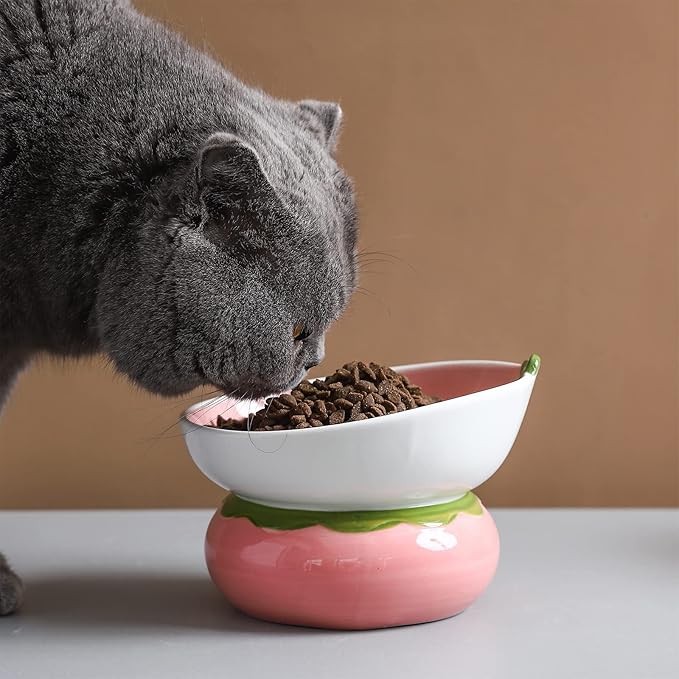 Ceramic Raised Cat Bowl - Pink Elevated Food Bowl for Indoor Cats, Anti-Vomiting & Spine Protection, Cute Tilted Dish for Flat-Faced Cats and Kittens (Strawberry Shaped)