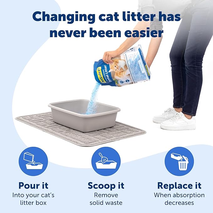 PetSafe ScoopFree Premium Crystal Cat Litter - Ultra-Absorbent Silica Universal Litterbox Crystals - Non-Clumping Odor Control - Fresh Scent - 8 lb Bag - 3 Pack