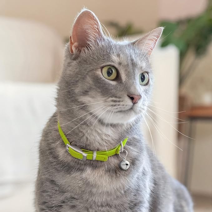 CollarDirect Leather Cat Collar with Bell - Kitten Collar, Small and Big Cat Collar for Boy Cats, Girl Cats with Safety Elastic Strap (Neck Fit 6"-7", Lime Green)