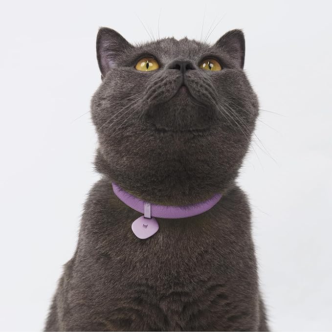 Safety Cat Collar and ID Tag Set, Elastic Quick Release Non Breakaway Collar, Personalized Aluminum Engraved Pet Name Tag, Lightweight for Kitten Small Large Cats (Midnight Black-S, Star)