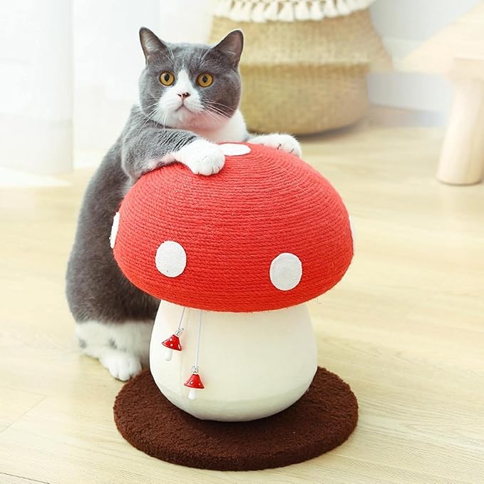 Cat Scratching Post - Mushroom Tall Cat Scratcher Cat Interactive Toys Ideal for Medium and Small Cats, No Assembly Required (Red, Small)