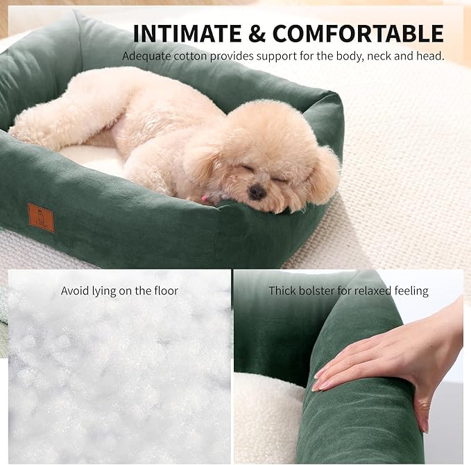 25In Dog Bed for Small Medium Sized Dogs - Washable Rectangle Puppy Bed for Indoor Outdoor, Cozy Pet Bed with Support Pillow & Non-Slip Bottom(Green, Medium)