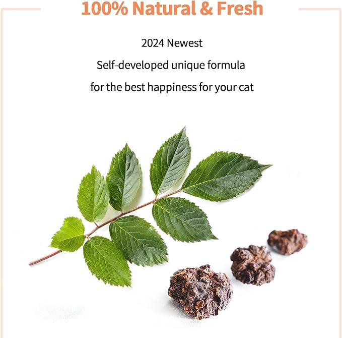 Cat Toys - Blend Silvervine Powder 75g with 5 Pouches, Catnip Alternative, 100% Natural Silver Vine Gall Fruit Powder & Silvervine Leaves, Suitable for All Cat Ages