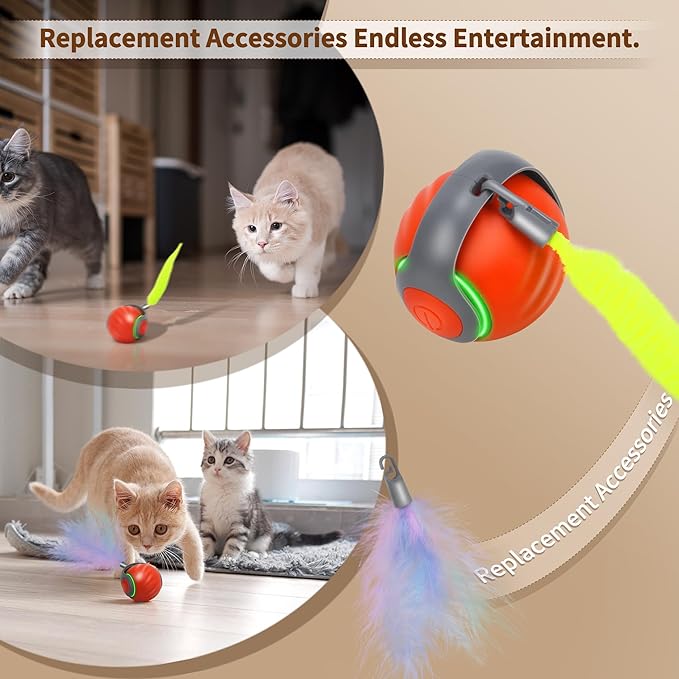 Speedy Tail 2.0 Interactive Cat Toy – Smart Self-Rolling Cat Ball with Feather Tail, Automatic Moving Motorized Toy for Indoor Cats, Chasing & Hunting Fun (Orange)