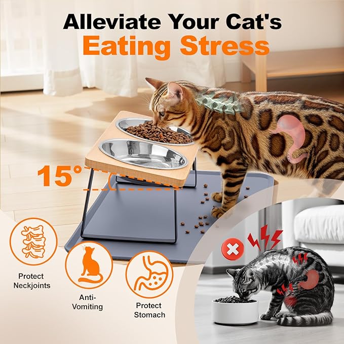 Elevated Cat Food Bowls with Mat Whisker Friendly, 15°Tilted Raised Cat Water Dishes Set for Anti Vomit, Pet Holder Stand Feeding Station for Indoor Kitten and Puppy Dog