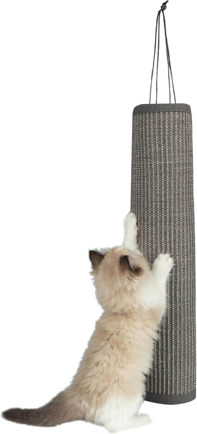 Best Pet Supplies Cat Scratchers for Indoor Cats - Interactive Hanging Log & Mat, Supports Natural Behaviors, Heavy Duty, Gray