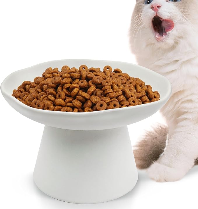 VCEPJH Raised Cat Food Bowls Shallow Cat Plate Ceramic Elevated Cats Dish 6.1in Flat Anti Whisker Fatigue Wide Pet Food & Water Feeder for Indoor Kitty Kitten (White)